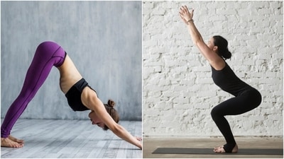 From the Downward Facing Dog Pose to the Chair Pose, here are 6 easy yoga poses to try if you sit all day or work from home. (Freepik) From the Downward Facing Dog Pose to the Chair Pose, here are 6 easy yoga poses to try if you sit all day or work from home. (Freepik)