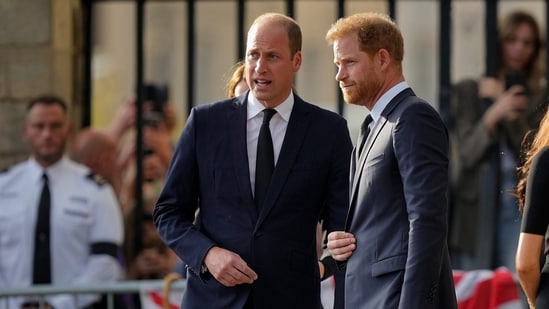 Prince Harry's visit in the Big Apple will coincide with his estranged brother Prince William's Earthshot Prize Innovation Summit, which is scheduled to take place on September 24. (AP)