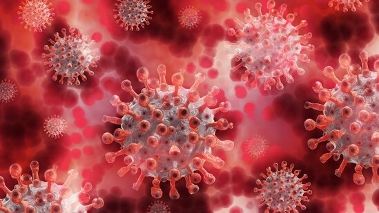 Brazil has reported its first-ever deaths from the Oropouche virus, a rare disease spread by midges and mosquitoes. (Pixabay)