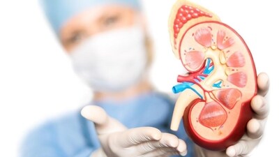 It’s possible for living donors to give a one of their two kidneys or part of a liver, the only organ that regenerates. (Representative photo) It’s possible for living donors to give a one of their two kidneys or part of a liver, the only organ that regenerates. (Representative photo)