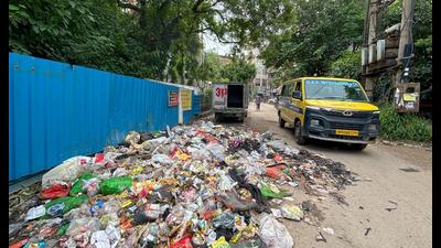 Garbage spread on the road in Sector-21 Ward-4 area in Gurugram on Thursday. (Parveen Kumar/HT PHOTO) Garbage spread on the road in Sector-21 Ward-4 area in Gurugram on Thursday. (Parveen Kumar/HT PHOTO)