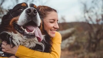 When we pet a dog or spend time with it, it helps in releasing oxytocin which helps in boosting mood. This also helps in decreasing cortisol – the stress hormone – levels in the body. (Unsplash) When we pet a dog or spend time with it, it helps in releasing oxytocin which helps in boosting mood. This also helps in decreasing cortisol – the stress hormone – levels in the body. (Unsplash)