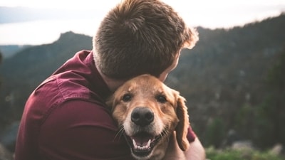 Dogs are our furry best friends. Our pets, without exchanging a word with us, occupy the largest parts of our hearts. Spending time with them makes us feel happier and drives our blues far away. Dogs can help in combating anxiety as well – mentioned Psychologist Carolyn Rubenstein. Here's how spending time with your dog can help you beat anxiety. (Unsplash) Dogs are our furry best friends. Our pets, without exchanging a word with us, occupy the largest parts of our hearts. Spending time with them makes us feel happier and drives our blues far away. Dogs can help in combating anxiety as well – mentioned Psychologist Carolyn Rubenstein. Here's how spending time with your dog can help you beat anxiety. (Unsplash)