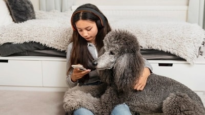 Anxious people look for a space where they are not criticised or judged. Dogs provide a space of comfort. (Freepik) Anxious people look for a space where they are not criticised or judged. Dogs provide a space of comfort. (Freepik)