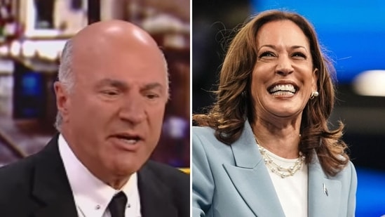 Kevin O’Leary calls out Kamala Harris for ignoring the press (kevinolearytv/Instagram, photo by Elijah Nouvelage / AFP)
