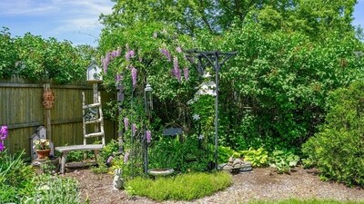 Check out tips to deal with overgrown Leyland cypress trees blocking your walkway. (Pixabay) Check out tips to deal with overgrown Leyland cypress trees blocking your walkway. (Pixabay)