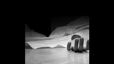 A tragic incident occurred early Friday morning in the Guru Gobind Singh Nagar area on Barota Road after a venomous snake entered a house and bit a nine-month-old boy. The child soon died of snakebite. (Getty Images/iStockphoto/ Representational image)