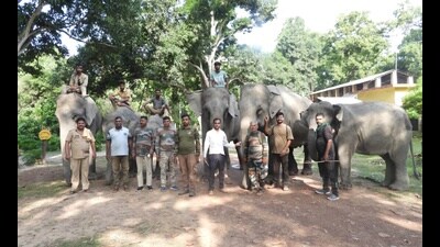 Dudhwa National Park (DNP) officials along with rescued camp elephants at the base camp on Thursday. (HT) Dudhwa National Park (DNP) officials along with rescued camp elephants at the base camp on Thursday. (HT)