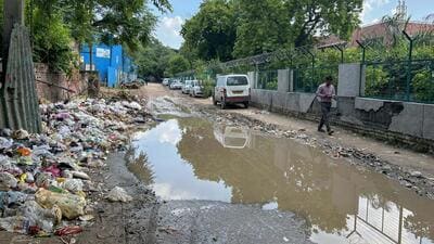 Garbage on the roadside in Sarhaul village near the Government School in Gurugram Ward number five on Friday. (Parveen Kumar/HT Photo) Garbage on the roadside in Sarhaul village near the Government School in Gurugram Ward number five on Friday. (Parveen Kumar/HT Photo)