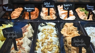The ice creams are on dislay at "Roberto confectionary" pastry shop in Tatabanya, north-western Hungary, where they make several meal-based ice creams inspired by Hungarian specialities like goulash, tomato soup or fermented cucumber. (Photo by ATTILA KISBENEDEK / AFP) The ice creams are on dislay at "Roberto confectionary" pastry shop in Tatabanya, north-western Hungary, where they make several meal-based ice creams inspired by Hungarian specialities like goulash, tomato soup or fermented cucumber. (Photo by ATTILA KISBENEDEK / AFP)