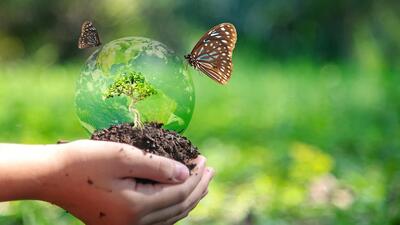 The Green Concept works in applied ecology, carbon assessments and ecosystem restoration (Shutterstock) The Green Concept works in applied ecology, carbon assessments and ecosystem restoration (Shutterstock)
