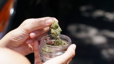 A Singapore man placed 500 grams of cannabis in his wife's car (Representational image) A Singapore man placed 500 grams of cannabis in his wife's car (Representational image)