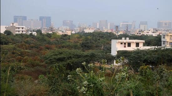 The Aravalli Nature Trail Trek. (HT Archive)