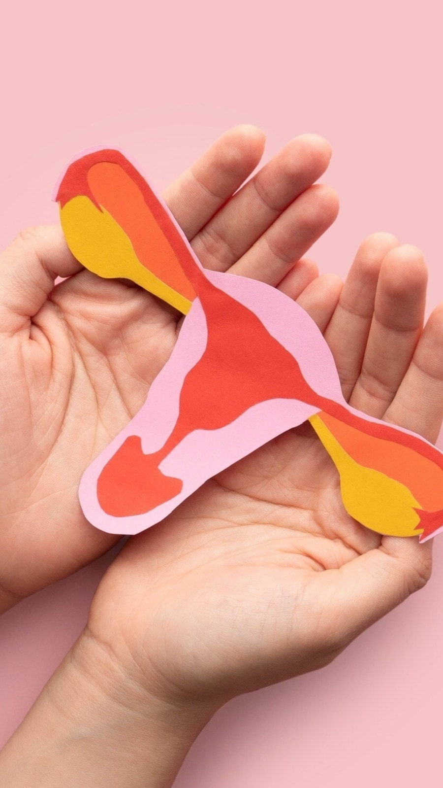ovary
