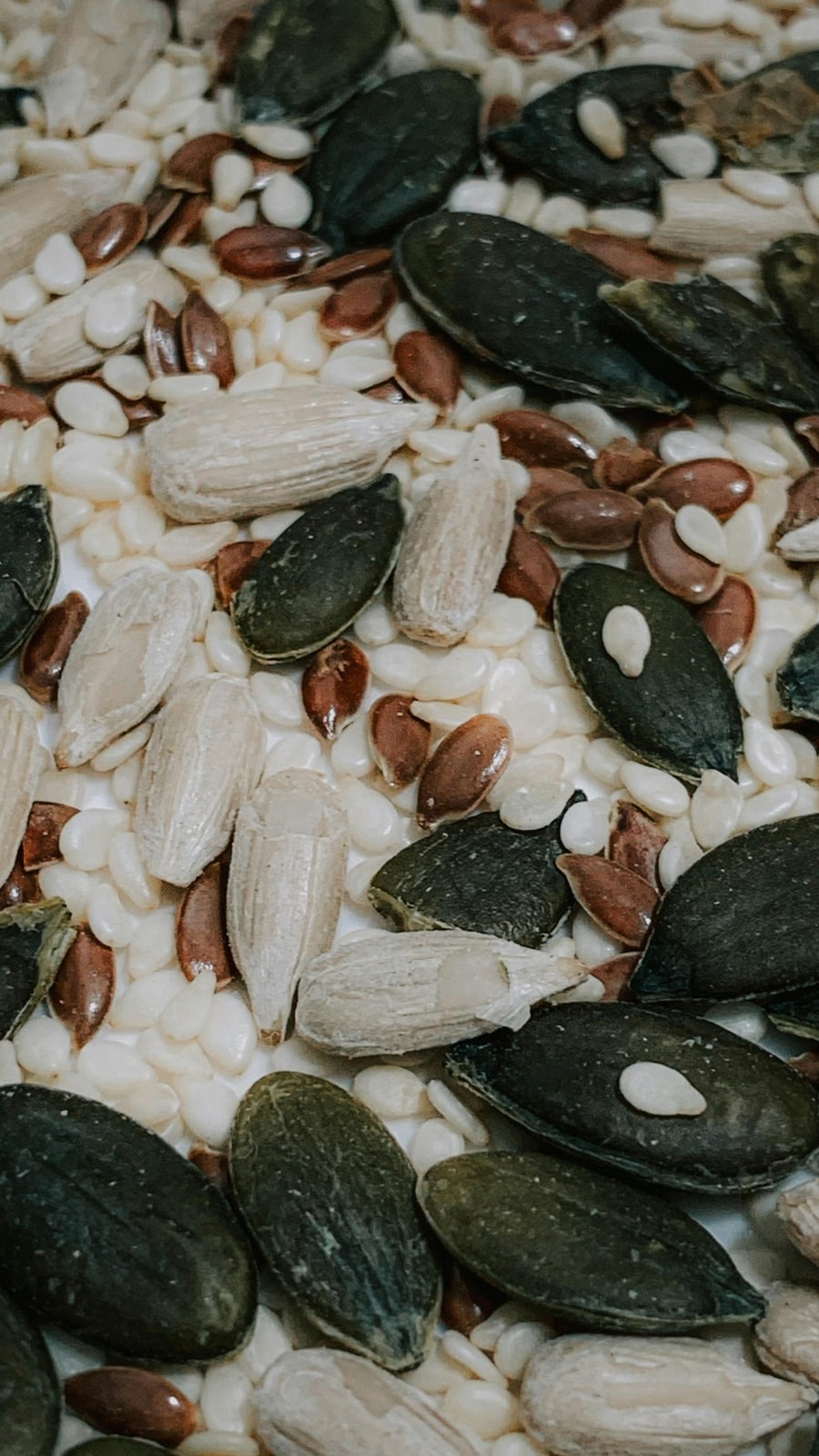 seed