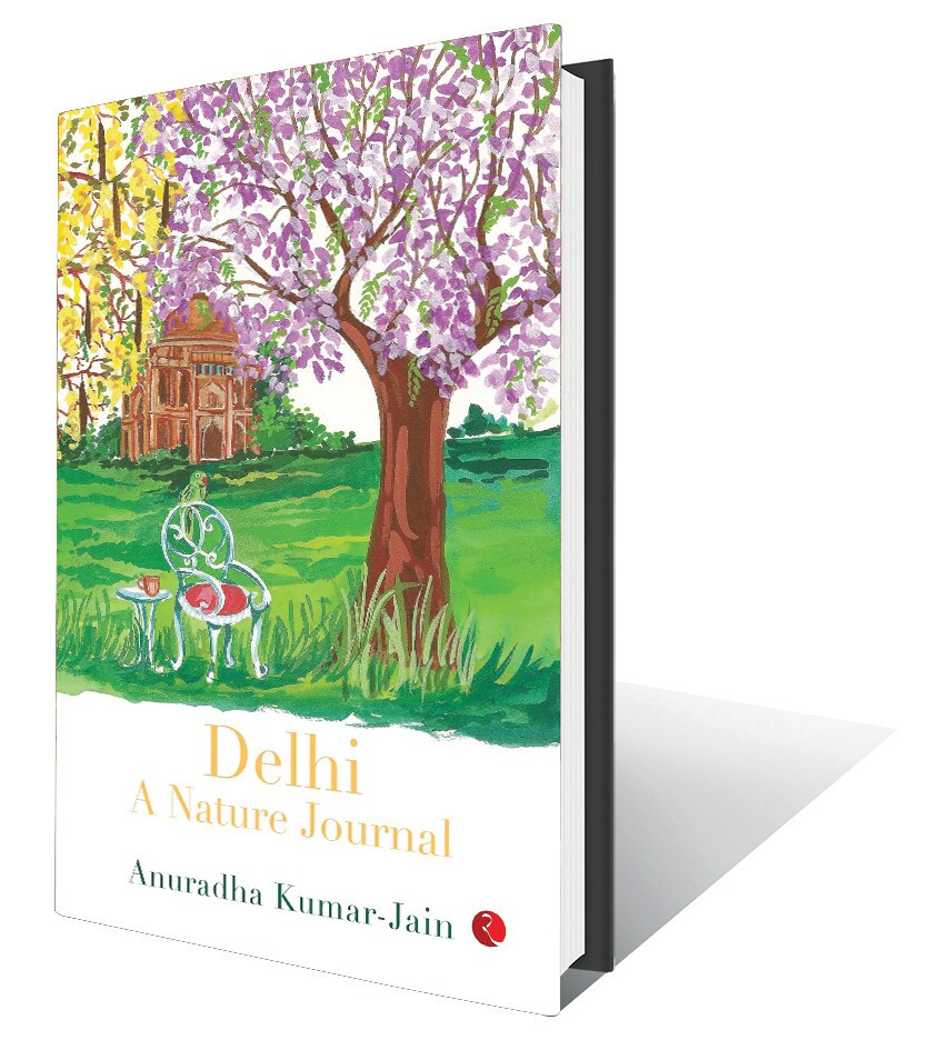 223pp, ₹695; Rupa (Evocative nature writing on the different seasons of the capital) 223pp, ₹695; Rupa (Evocative nature writing on the different seasons of the capital)