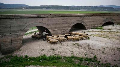A shepherd leads his flock along the bed of the dried up Studen Kladenets (Cold Well) reservoir dam, near Kardzhali, southern Bulgaria, on August 28. (AFP) A shepherd leads his flock along the bed of the dried up Studen Kladenets (Cold Well) reservoir dam, near Kardzhali, southern Bulgaria, on August 28. (AFP)