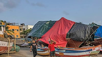 Tidal flow and turbidity are the two factors the fisherfolk on the Thane creek have also blamed for the drop in fish catch on the MTHL (AP) Tidal flow and turbidity are the two factors the fisherfolk on the Thane creek have also blamed for the drop in fish catch on the MTHL (AP)