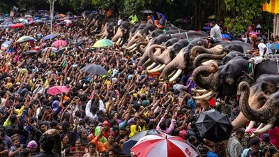 Thrissur: Devotees feed elephants at the Vadakkunnathan Temple in the Malayali month Karkidakam, in Thrissur, Kerala, Tuesday, July 16, 2024. (PTI Photo) (PTI07_16_2024_000236B) (PTI) Thrissur: Devotees feed elephants at the Vadakkunnathan Temple in the Malayali month Karkidakam, in Thrissur, Kerala, Tuesday, July 16, 2024. (PTI Photo) (PTI07_16_2024_000236B) (PTI)