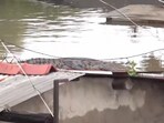 A Crocodile was spotted on the roof of a house as heavy rainfall inundated Akota Stadium area of Vadodara in Gujarat. A Crocodile was spotted on the roof of a house as heavy rainfall inundated Akota Stadium area of Vadodara in Gujarat.