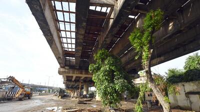 Trees below the under-construction part of the flyover. (Sanjeev Verma/HT Photo) Trees below the under-construction part of the flyover. (Sanjeev Verma/HT Photo)