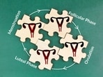 The follicular phase is the first half of the menstrual cycle, leading up to ovulation.