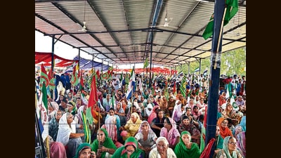 The top court also called for immediate action to alleviate the hardships caused by the blockade at the Shambhu border. (HT Photo) The top court also called for immediate action to alleviate the hardships caused by the blockade at the Shambhu border. (HT Photo)