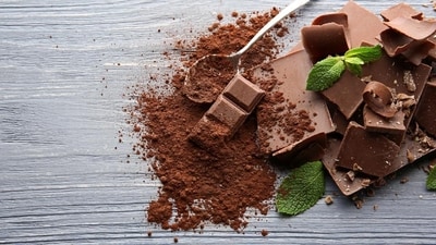 New methods seek sustainable cocoa amid climate change challenges (Shutterstock) New methods seek sustainable cocoa amid climate change challenges (Shutterstock)