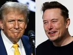 Elon Musk says he can't wait to join Donald Trump's government. (Photo by Jim WATSON and Odd ANDERSEN / AFP)