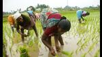 Rural women in Tamil Nadu: Imayam’s stories are about the lives of common people. (CRS PHOTO / Shutterstock)