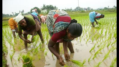 Rural women in Tamil Nadu: Imayam’s stories are about the lives of common people. (CRS PHOTO / Shutterstock) Rural women in Tamil Nadu: Imayam’s stories are about the lives of common people. (CRS PHOTO / Shutterstock)