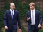 Prince Harry reportedly 'missed an opportunity' to make amends with Prince William