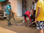 Odisha: The officials were seen carrying the massive cobra out of the house. 