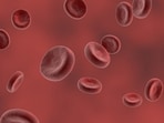 red-blood-cell-