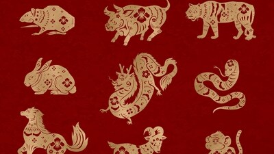 Chinese Horoscope from September 2-8, 2024: Find out why these five Chinese zodiac signs will be lucky in love by this weekend. (Freepik)