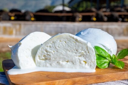 Mozzarella di Bufala campana (Photo: Adobe Stock) Mozzarella di Bufala campana (Photo: Adobe Stock)