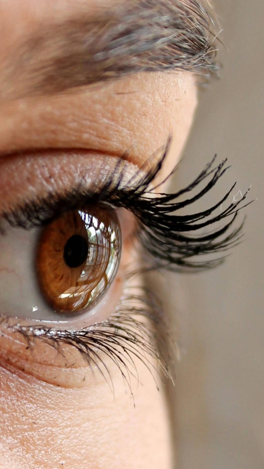 eye