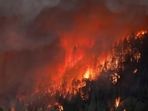 A wildfire is seen along Highway 32 near Butte Meadows, California, U.S. July 26, 2024. REUTERS/Fred Greaves/File Photo