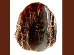 One of the world's largest amber nuggets that was found in Romania.