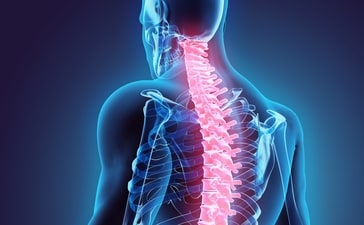Back pain is recognised by WHO as the most common cause of disability globally. Back pain is recognised by WHO as the most common cause of disability globally.
