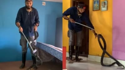 In a viral video, the team can be seen carefully rescuing the cobra and later releasing it into the wild. (Instagram/ @ajay_v_giri ) In a viral video, the team can be seen carefully rescuing the cobra and later releasing it into the wild. (Instagram/ @ajay_v_giri )