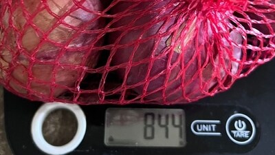 An X user claims he received only 844 grams of onions from BigBasket (X/@bhavyegoel) An X user claims he received only 844 grams of onions from BigBasket (X/@bhavyegoel)