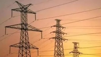Punjab power minister Harbhajan Singh ETO said 90% of the consumers in the state are enjoying free electricity. (HT File) Punjab power minister Harbhajan Singh ETO said 90% of the consumers in the state are enjoying free electricity. (HT File)