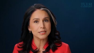 Tulsi Gabbard releases bombshell video claiming the Biden administration put her on a 'secret terror watchlist' after she criticised Kamala Harris (Tulsi Gabbard/ X, formerly Twitter)