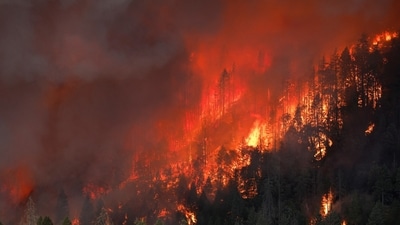 A wildfire is seen along Highway 32 near Butte Meadows, California, U.S. July 26, 2024. REUTERS/Fred Greaves/File Photo (REUTERS)