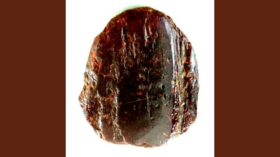 One of the world's largest amber nuggets that was found in Romania. (Facebook/Muzeul Județean Buzău ) One of the world's largest amber nuggets that was found in Romania. (Facebook/Muzeul Județean Buzău )