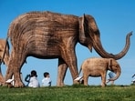 The Great Elephant Migration is a travelling exhibit of a 100 elephant sculptures.