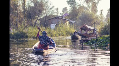 On the Dal Lake in Kashmir (Shutterstock) On the Dal Lake in Kashmir (Shutterstock)