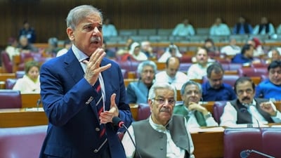 Pakistan's Prime Minister Shehbaz Sharif (L) (AFP PHOTO / Pakistan's Press Information Department (PID) ) Pakistan's Prime Minister Shehbaz Sharif (L) (AFP PHOTO / Pakistan's Press Information Department (PID) )