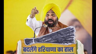 Punjab CM Bhagwant Mann addresses a public meeting at Kalayat assembly constituency in Kaithal, Haryana. (PTI) Punjab CM Bhagwant Mann addresses a public meeting at Kalayat assembly constituency in Kaithal, Haryana. (PTI)